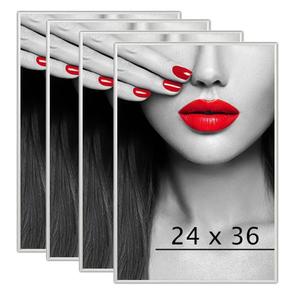 Plex Supply 24x36in 2 Frames