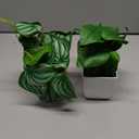 Der Rose 2Pcs Small Fake Plants Artificial Mini Faux Plants for Bathroom Office Desk Shelf Table Accessories Decor Indoor
