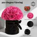 18 Preserved Flowers for Delivery Prime, Roses Dome Forever Flower Decor for Party Home Table Bedroom, Anniversary, Birthday, Wedding Gifts for Women Her (Pink)