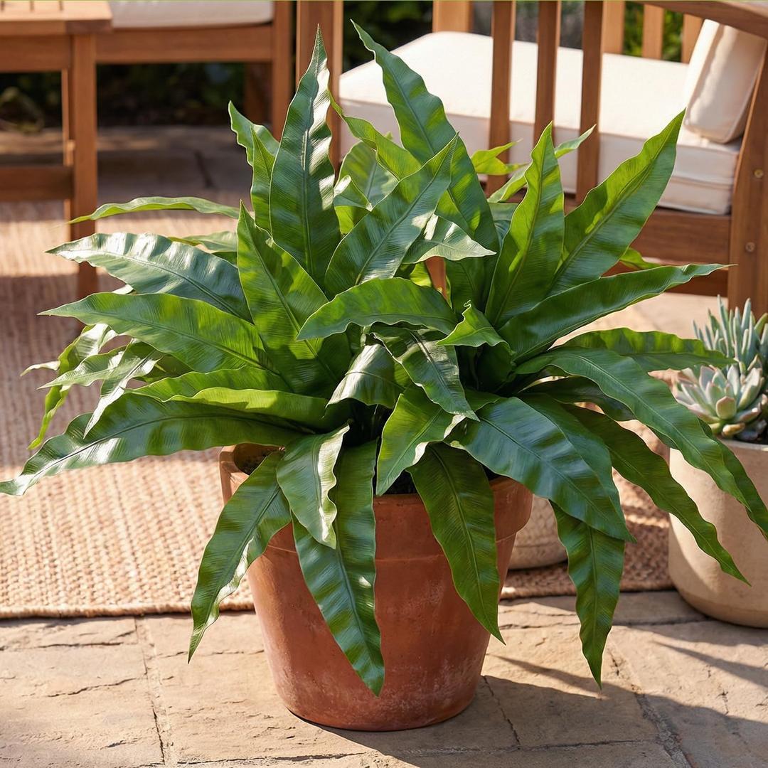 3pcs Artificial Bird's Nest Fern, Large Faux Fern Plants Outdoor | UV resistant fake greenery for window boxes, planters, porch, patio and indoor home decor