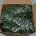 CQURE 36 Pack 252Ft Artificial Ivy Garland, Fake Vines Leaf Garland Green Leaves Fake Plants Hanging Vines Plant Greenery Garland for Bedroom Wedding Party Garden Wall Room Decor