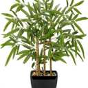 18 Inch Fake Bamboo Tree Plant Indoor Potted Plants Faux Bamboo Plants in Black Pot with Solid Wood Trunk Artificial Bamboo Tree Small Faux Plants Excellent Gift Silk Plants for Home Office Decor