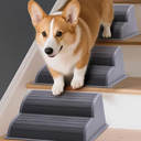 3 Pack 2-Step Modular Dog Ramp