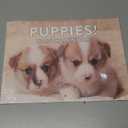 Puppy Calendar 2026 Puppies Monthly Wall Calender 12 Month | American Made In The USA