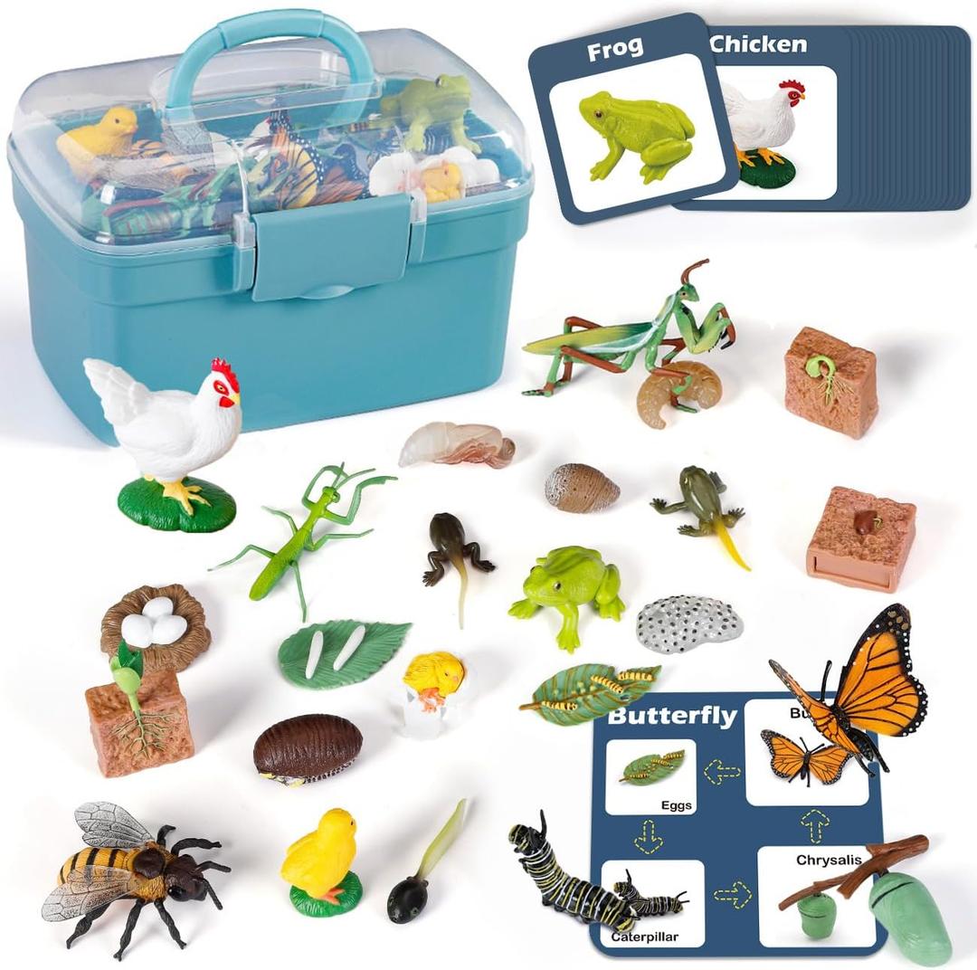 Life Cycle Learning Toys for Kids: Life Science Education Kits with Butterfly, Frog, Chicken, Mantis, Bee, Plants - 25 Pieces Animal Figurines Montessori Toys for Children Age 3 4 5 6 7 8+