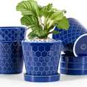 Ceramic Plant Pots 5 inch Indoor Flower Pot with Drainage Hole and Ceramic Tray - Gardening Home Desktop Office Windowsill Decoration Gift, Set of 4-Plants NOT Included(Blue) (Small)