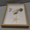 liomey Shell Ornament Christmas Decor 11.69" x 8.27" Coastal Wall Art Wooden Frame with Natural Conch Shells, Nautical Beach Home Decor, Ocean Themed Display for Living Room, Bedroom, Office(Two Large Starfish)