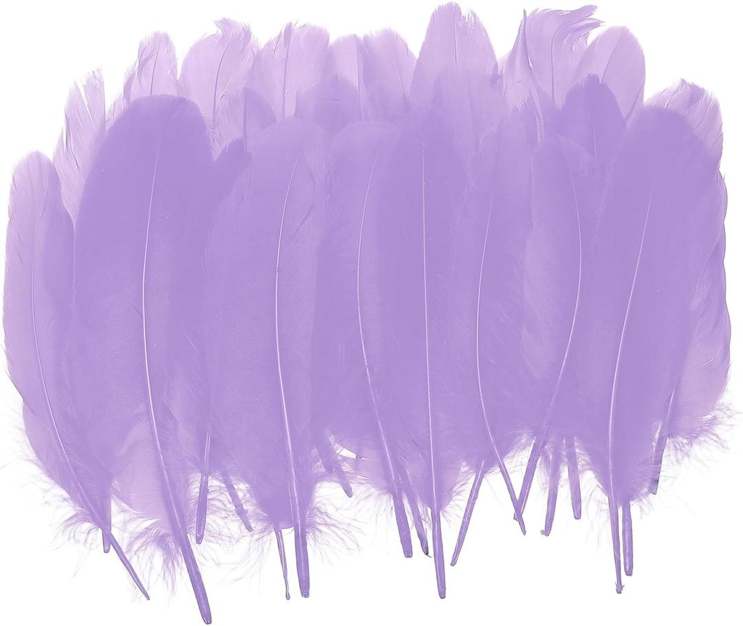 PATIKIL 4-7" Natural Goose Feathers Bulk for Crafts, 300 Pack Long Assorted Colors Feathers Decor for DIY Dream Catchers, Hats, Garland, Vase Supplies Adults Crafting, Light Purple