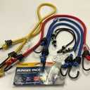 Assortment of Bungee Cords, 4pcs