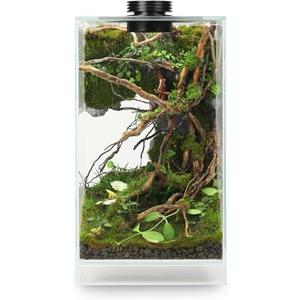 Desktop Glass Plant Terrarium with Grow Light(L7.8 W7.8 H14), for Succulent, Moss, Miniature Gardening Landscape, Betta Fish Tank, Indoor Plant Growth, Office Home Decoration (TimeControlled) Desktop Glass Plant Terrarium with Grow Light(L7.8 W7.8 H14), for Succulent, Moss, Miniature Gardening Landscape, Betta Fish Tank, Indoor Plant Growth, Office Home Decoration (TimeControlled)