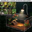 Kathfly 13 Pcs Mini Reptile Terrarium Starter Kits, 12x8x6'' Insect Amphibians Reptile Tank Insect Habitat Cage Acrylic Tank Hidden Shell Heat Lamp Hammock and Other Accessories for Fish Turtle Spider