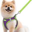rabbitgoo Dog Harness Small Sized and Leash Set, Step-in Breathable Pet Harness, Soft Walking Reflective Puppy Vest for Small Dogs, Purple & Green, M (M (Chest: 16.0 - 18.5"))