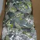 N&T NIETING 4 Pack Artificial Eucalyptus Garland with Lights, 6FT Artificial Greenery Garlands, Battery Operated Twig Vine for Room Stairs Mantle Wedding Holiday Decoration Indoor Outdoor