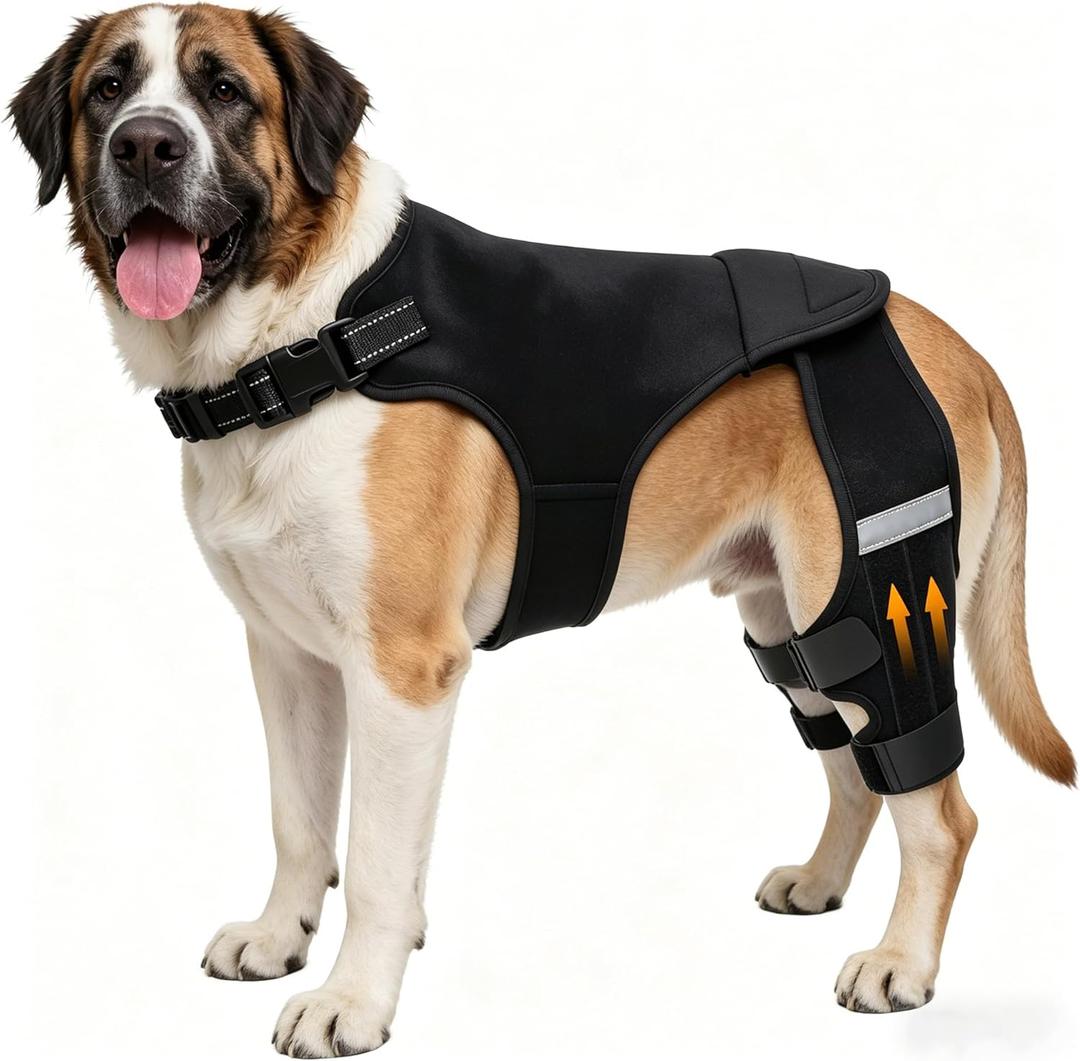 Dog Knee Braces for Torn ACL Hind Leg, Adjustable Dog Leg Braces for Back Leg with 4 Stabilizers for Luxating Patella Relieves Ligament Injury and Joint Pains