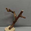 BNOSDM Reptile Grapevine Wood Decoration, Wooden Climb Tree Branch Decor, Grape Wood Branches for Leopard Gecko Lizard Frog Snake