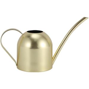 Stainless Steel Water Can for Indoor Plants and Garden (15 oz)