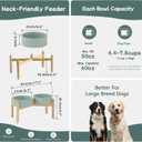 Havniva Ceramic 8.2inch Raised Dog Bowl with Stand for Large- Breed Dogs, Pet Food and Water Feeder (Double Bowl with Stand - Light Green)