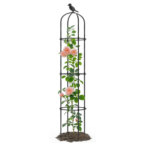 Trellume Garden Obelisk Trellis for Climbing Plants Outdoor  69"(H), Rustproof Trellis with Adjustable Rings, Metal Plant Support for Potted Vines, Garden Trellis Use for Outdoor or Indoor(1 Pack)