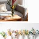 12 Kind Dried Flowers Set - Including Lavender, Eucalyptus, Wheat, Bunny Tails, Handmade for DIY Crafts, Vase Decor, Wedding/Home/Birthday/Seasonal Decor