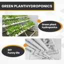 2 x 3''Sewer Cleanout Adapter with Plug Pipe Fitting, PVC DWV Flush Sewer Cleanout Cap for Outdoor Garden,RV and More Drainage Piping System.