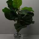 BESAMENATURE 30.5" Little Artificial Fiddle Leaf Fig Tree/Faux Ficus Lyrata for Home Office Decoration, Ships in Silvery Gray Planter
