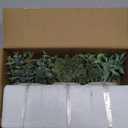 Der Rose 3 Pack Mini Potted Fake Plants Artificial Plastic Eucalyptus Plants Topiaries for Home Office Desk Farmhouse Shelf Room Bathroom Decor(Sage Green)