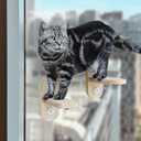 Meeyoview Cat Window Steps, Matching Cat Window Perch and Hammock, DIY Window Stairs with Suction Cups and Sisal(2 Pack)