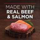 Purina ONE High Protein Wet Dog Food True Instinct Tender Cuts in Dog Food Gravy With Real Beef and Wild-Caught Salmon - (Pack of 12) 13 oz. Cans (EXP 07/31/28)