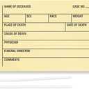 SmartSign Toe Identification Tag for Coroner and Funeral, 5.25" x 2.625" Durable Manila Cardstock with Reinforced Hole, Pre-Strung - Pack of 100 Tags