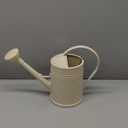 Watering Can for Indoor Plants, Flower Watering Can, Plastic Water Can for Plants with Sprinkler Head 68 oz, 1/2 Gallons (Ivory)