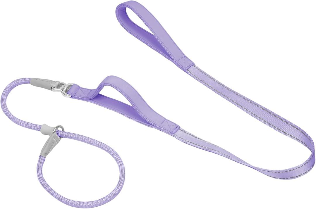 Slip Lead Dog Leash with Double Handle, Reflective Dog Training Leash 360 Swivel Heavy Duty Nylon Slip Lead and Collar Set for Medium Large Small Dog No Pull Walk 5FT Purple