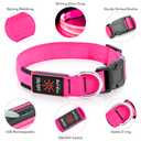 Illumifun LED Dog Collar | USB Rechargeable Light Up Dog Collar, Water-Resistant Adjustable Safety Collar Light for Small Medium Large Dogs Glow in The Dark (Pink, Small)