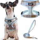 PUPTECK Soft Mesh Dog Harness and Leash Set Pet Puppy Cat Comfort Padded Vest No Pull Harnesses, Blue&Brown, XS
