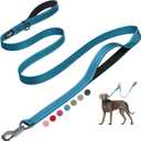 Fida 6 FT Heavy Duty Dog Leash with 2 Comfortable Padded Handles, Traffic Handle & Advanced Easy Snap Hook, Reflective Walking Lead for Large, Medium & Small Breed Dogs, Blue (6 Feet (Pack of 1))