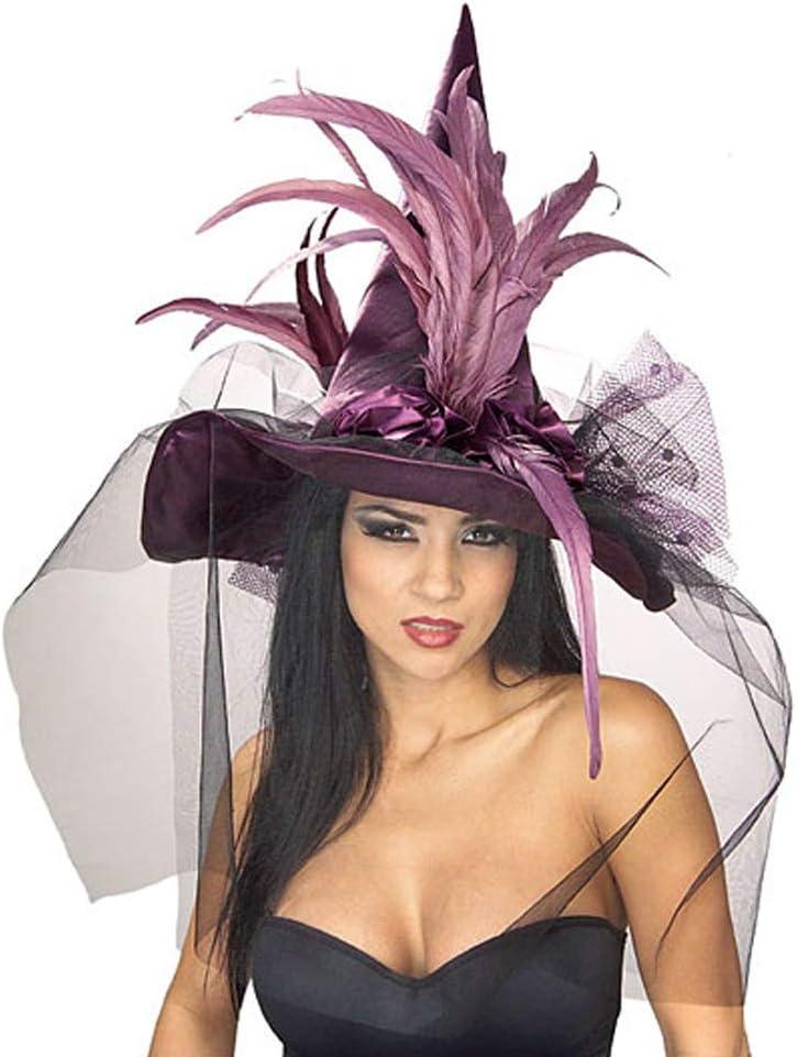 Rubies Costume Co. Women's Witch Hat with Feathers and Veil Costume