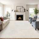 Pauwer Area Rugs for Living Room 9x12, Non Slip Washable Modern Rug, Beige