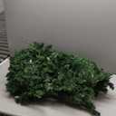 HOLLO STAR 6 ft Prelit Christmas Tree with 270 LED Lights, App Control, Artificial Christmas Tree with Multi-Color RGBW Lights, 1072 Branch Tips, Metal Base, Easy to Assemble, for Home, Party