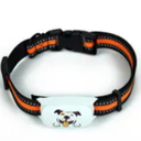 Beardpet's 4G GPS tracker for Dogs