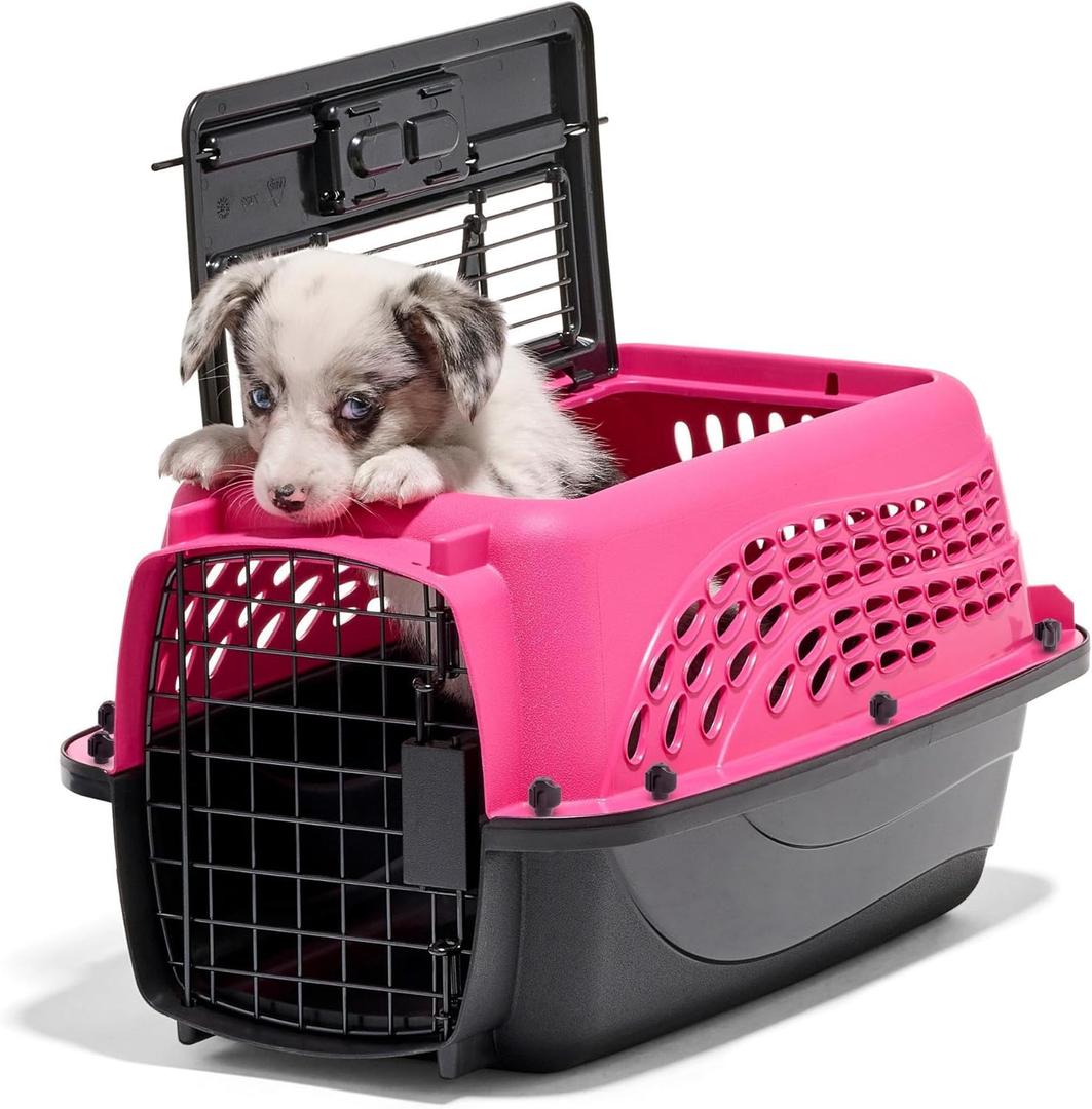 Petmate Two Door Pet Kennel for Pets up to 15 Pounds, Pink/Black, 19" Long (19.0"L x 13.0"W x 10.0"H)