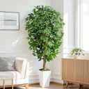 6ft Ficus Artificial Tree with 3 Natural Curved Trunks, 74" Tall Lush Faux Tree for Home Decor Indoor, Green Lifelike Fake Ficus Tree with White Wavy-Textured Planter Pot