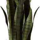 Nearly Natural, Green 4855 35in. Sansevieria with Black Planter