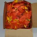 CQURE 20 Pack Fall Leaf Garland, Hanging Vines Garland Artificial Fall Maple Leaves Thanksgiving Decor for Home Wedding Fireplace Party (140Ft)