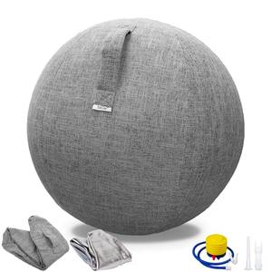 TokSay Exercise Ball Chair for Home Office - 25IN Yoga Ball with Leathaire Cover - Anti-Burst Stability Ball for Pregnancy, Balance & Active Sitting - Pump Included (Gray)