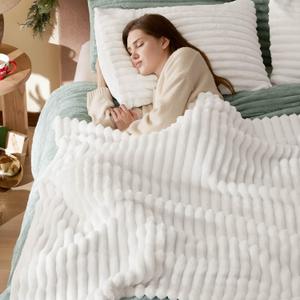 Bedsure Twin Blanket for Bed - GentleSoft Cozy Soft Blankets for Women, Cute Small Fleece Throws for Girls, Off White, 60x80 Inches (Twin (60" x 80"))