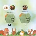 Adjustable Small Pet Diapers, Reusable Washable Squirrel Diapers Absorbent with Buckle Pants No Leak Reusable Diapers for Gliders Small Pets Mini Carrier Diaper (M)