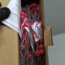 LITBLOOM Lighted Red Berry Branches 80 LED Fairy Lights with Timer, Twig Branches with Lights 32IN Battery Operated and USB Plug in for Home Fireplace Christmas Decoration