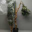 Tall Faux Olive Tree7ft84in Realistic Potted Silk Artificial Indoor with Green Leaves and Big Fruits for Home Office Living Room Bedroom Stairs Foyer Decor.
