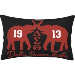 Sorority Gifts Throw Pillow Covers Decorative Pillow Case 20x30 Inch for Couch Bed Car Home Decor