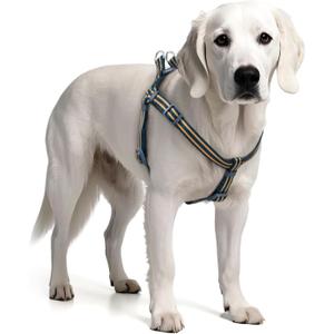 Stripe Step in Dog Harness for Small Dogs, Freedom Nylon Dog Halter Vests, Lightweight and Escape Proof Puppy Harness, Quick Fits for Small Medium and Large Dogs, Blue XS