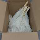 40PCS White Pampas Grass for Home Decor - Elegant Boho Decor - Premium Quality Pampas Grass Stems - Perfect for House, Nursery, Western, Wedding, Table, and Bohemian Decor